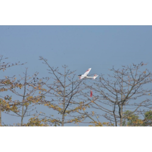 Volantex RC Ranger 600 – 600mm pusher glider with Gyro 761-2 RTF 5G WIFI