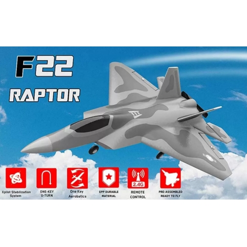 Volantex RC F22 Raptor with Xpilot Stabilizer System One Key Aerobatic Perfect for Beginners 761-7 RTF